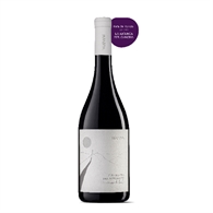 Collezione del Fondatore I.G.P.  Blend di uve prodotte esclusivamente dai vigneti di Enzo, nella Tenuta Il Vignale.